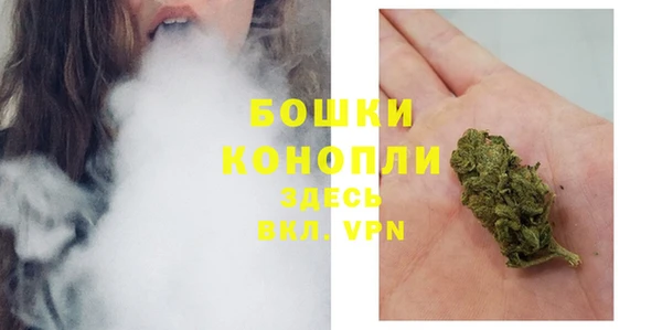 прущие грибы Краснотурьинск