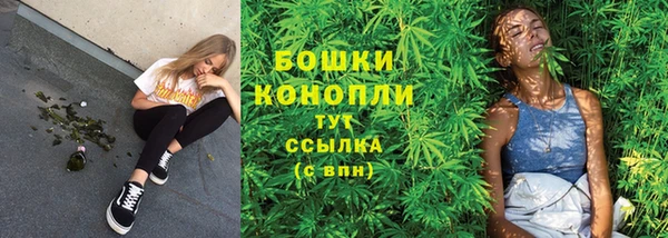 spice Зеленодольск