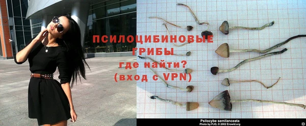 соль ск Зерноград